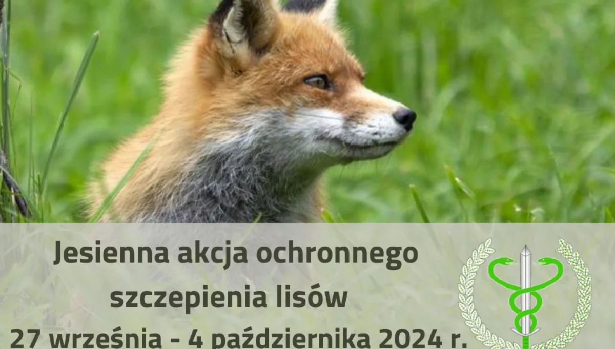 Komunikat dotyczący akcji szczepienia lisów