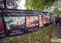 Stop aborcji - wystawa przy kościele - zdjęcie główne