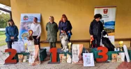W Łososinie Górnej odbyły się I Beskidzkie zawody obedience „POPYLANIE PO POLANIE” - zdjęcie 2