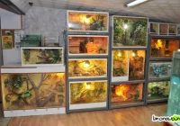 Zagrożone wyginięciem zwierzęta w sklepie zoologicznym - zdjęcie główne