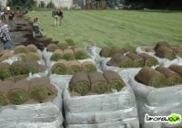 Obiekty z wysokim standardem - zdjęcie główne