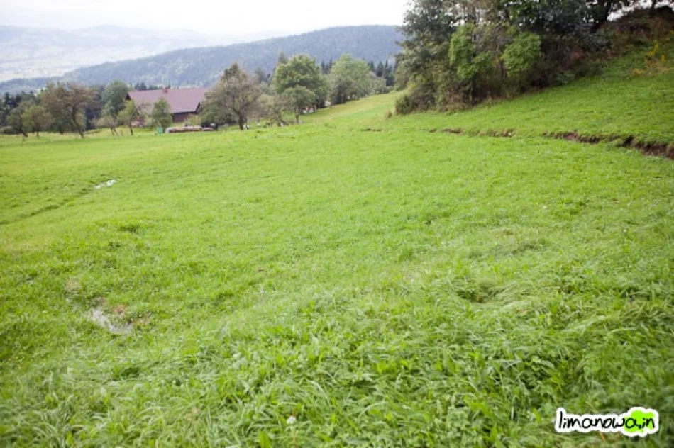 2,5 hektarowe osuwisko w Męcinie - zagrożony dom - zdjęcie 2