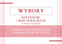 Powołanie Sołeckich Komisji Wyborczych - zdjęcie główne
