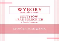 WYBORY SOŁECKIE – 29 września 2024 r. - sposób głosowania - zdjęcie główne