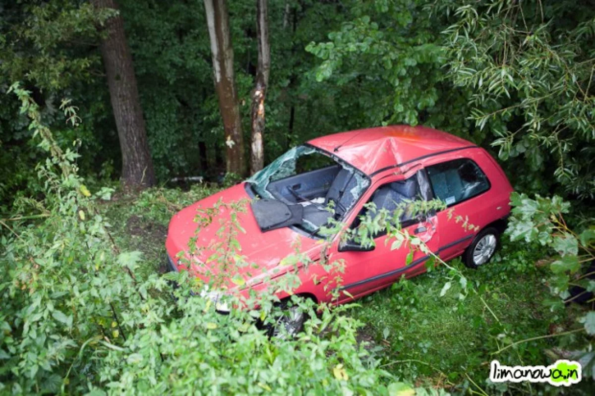 Wypadł z drogi i uderzył w drzewo