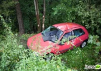 Wypadł z drogi i uderzył w drzewo - zdjęcie główne