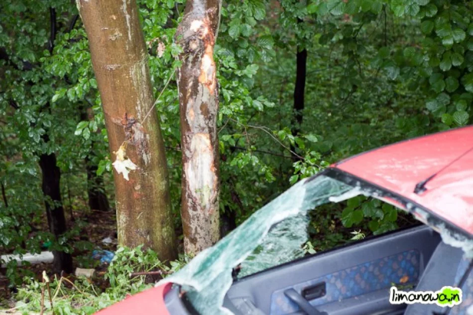 Wypadł z drogi i uderzył w drzewo - zdjęcie 3
