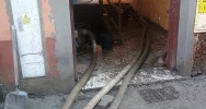 Trzy dni pomocy. Druhowie z Limanowszczyzny dla powodzian (ZDJĘCIA) - zdjęcie 5