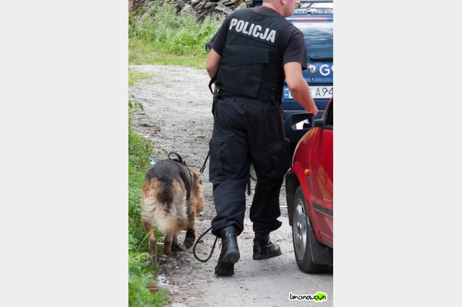 Napad na bank w Słopnicach - strzelano z pistoletu gazowego - zdjęcie 2