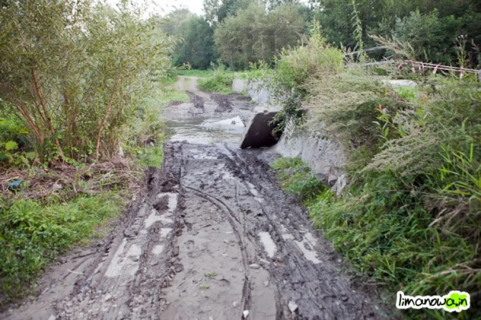 W mieście jak na wyspie - zdjęcie 4