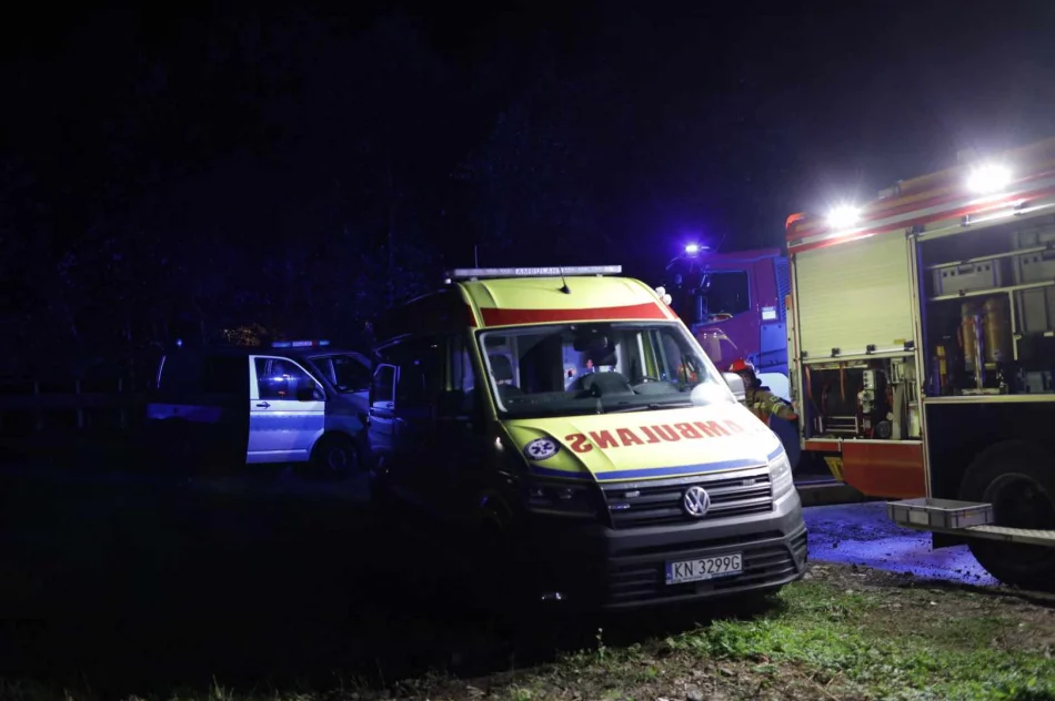 Pożar budynku gospodarczego. Z butli wydostawał się gaz - zdjęcie 3