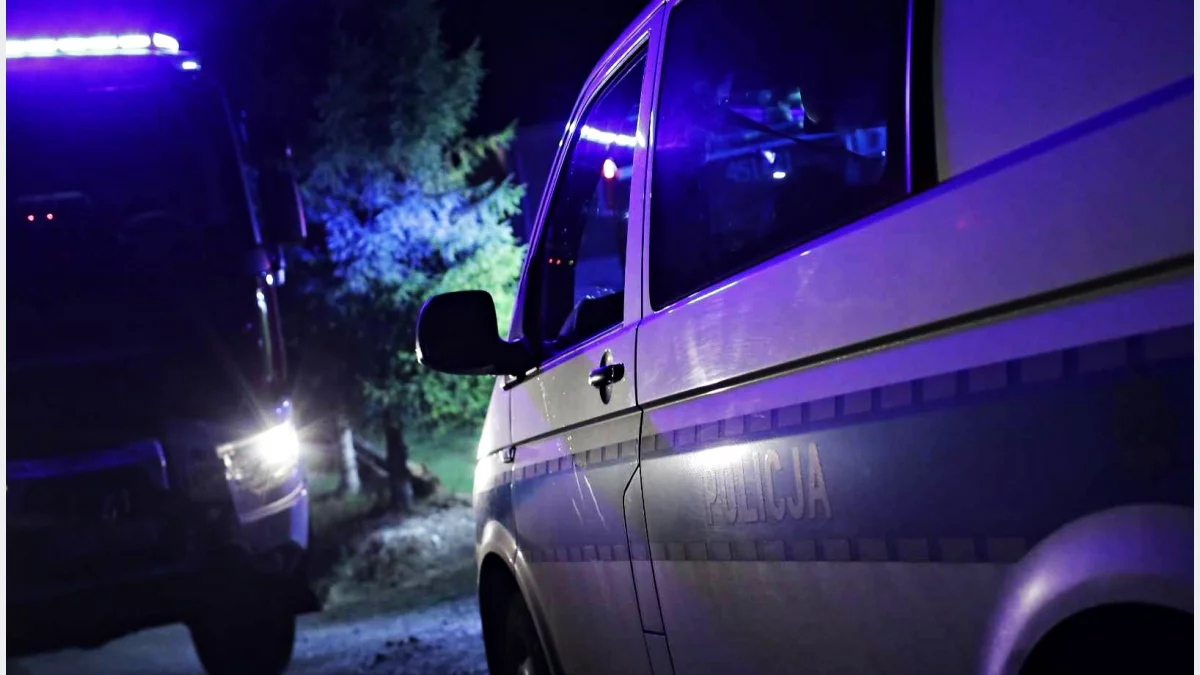 Samochód wypadł z drogi, 56-letni kierowca miał 2,3 promila