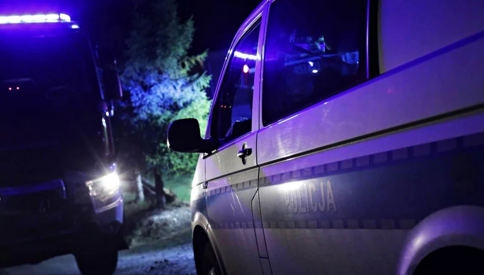 Samochód wypadł z drogi, 56-letni kierowca miał 2,3 promila - zdjęcie 1