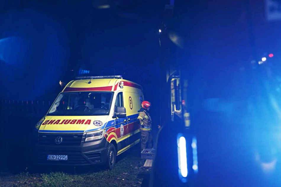 Pożar budynku gospodarczego. Z butli wydostawał się gaz - zdjęcie 9