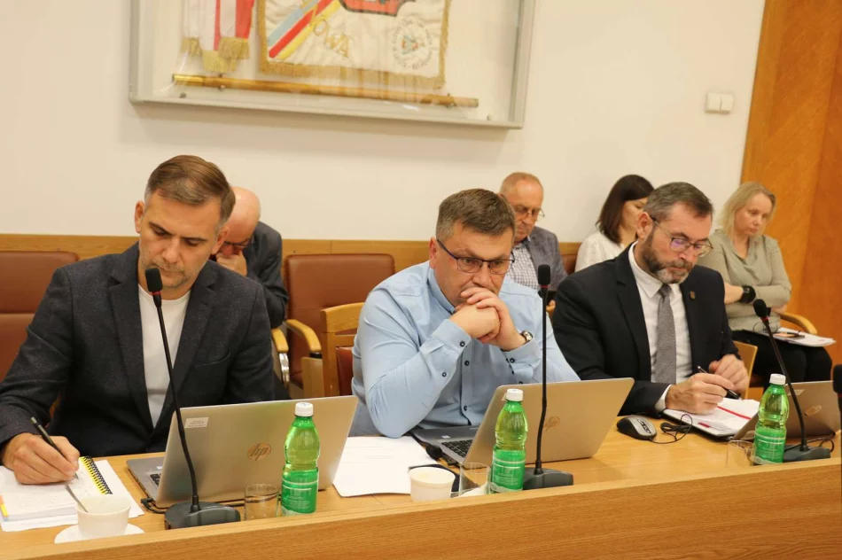 Informacja z obrad VI sesji Rady Miasta Limanowa - zdjęcie 14