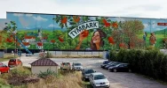 Nowy mural zdobi halę magazynową - zdjęcie 2
