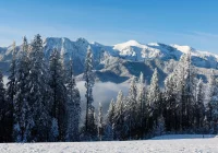 W Tatrach spadł pierwszy jesienny śnieg - zdjęcie główne