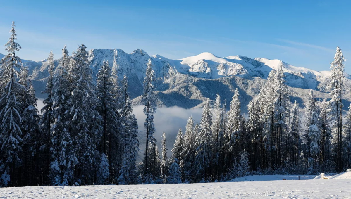 Tatry (Fot. PAP/Grzegorz Momot)