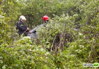 Samochód wypadł z drogi – pięć osób zabranych do szpitala - zdjęcie główne