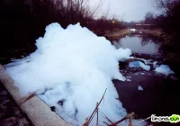 Stan środowiska wywołał kontrowersje - zdjęcie główne