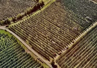 Projekt przesunięcia prowadzenia elektronicznej ewidencji zabiegów środkami ochrony roślin - zdjęcie główne