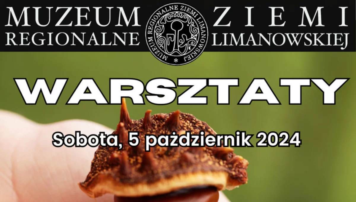 5 października Muzeum zaprasza na kolejne jesienne warsztaty dla najmłodszych