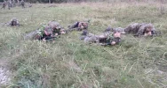 Szkolenie taktyczne młodzieży - zdjęcie 4
