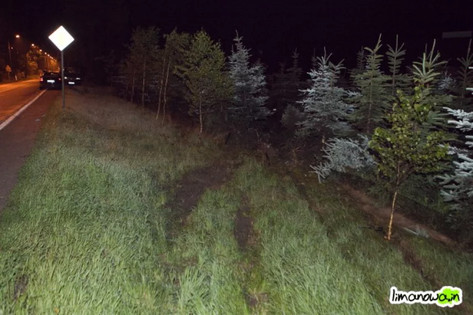 Pijani wracali z dyskoteki i spowodowali wypadek - zdjęcie 2