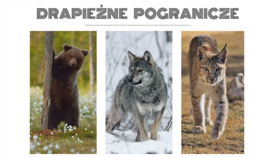 Międzynarodowy projekt “Drapieżne pogranicze” - zdjęcie 1