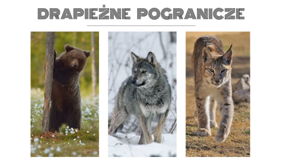 Międzynarodowy projekt “Drapieżne pogranicze”