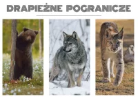 Międzynarodowy projekt “Drapieżne pogranicze” - zdjęcie główne