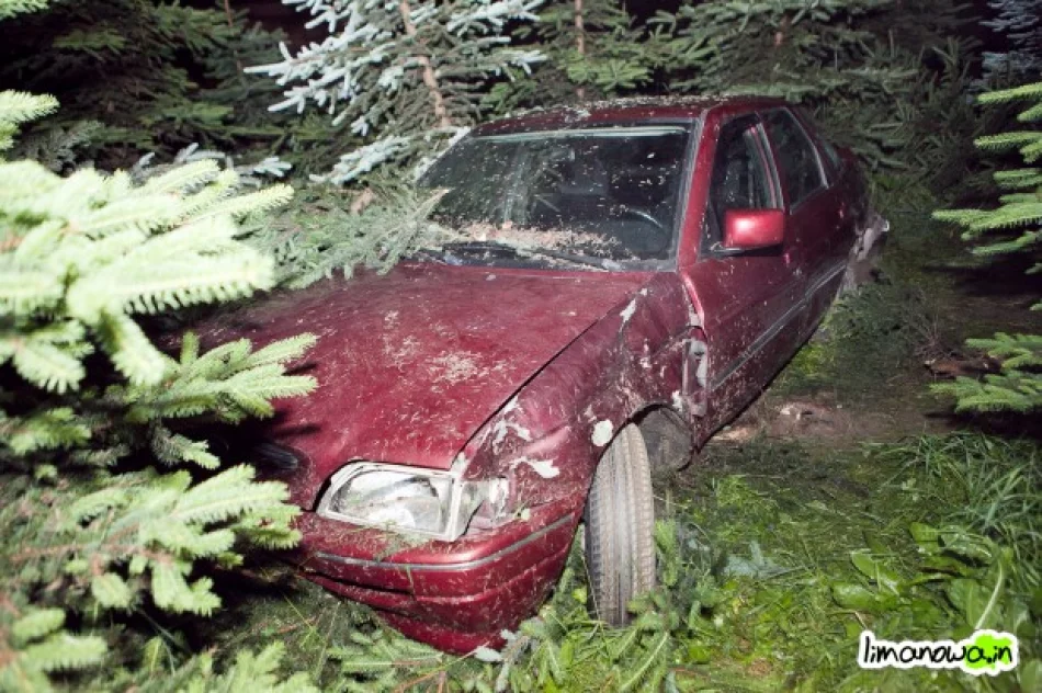 Pijani wracali z dyskoteki i spowodowali wypadek - zdjęcie 3