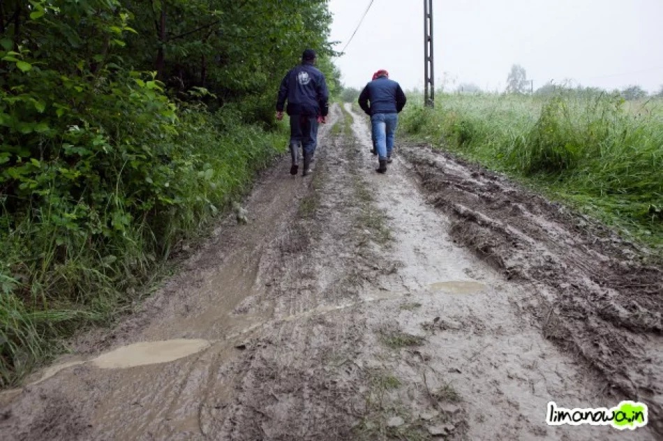 Możliwe rozwiązanie na drugą turę to kliniec - zdjęcie 2