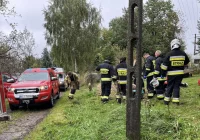 Służby na pomoc grzybiarzowi. Mężczyzna trafił do szpitala - zdjęcie główne