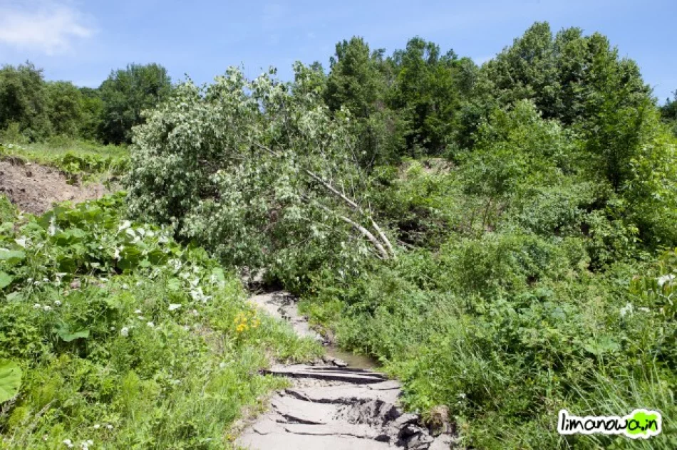 Metr na 12 godzin - zdjęcie 3