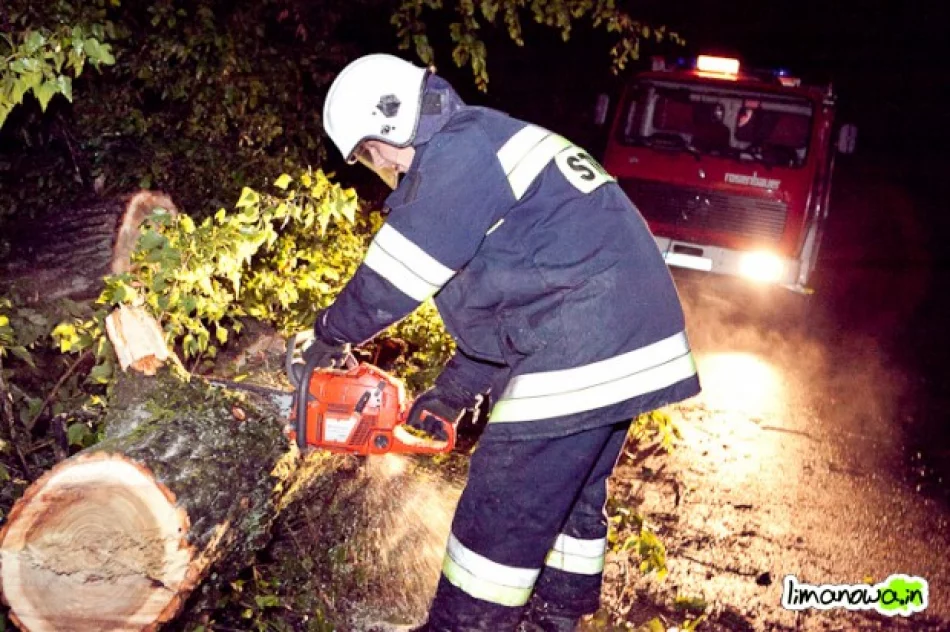 Gwałtowna nawałnica wyrywała drzewa z korzeniami - zdjęcie 2