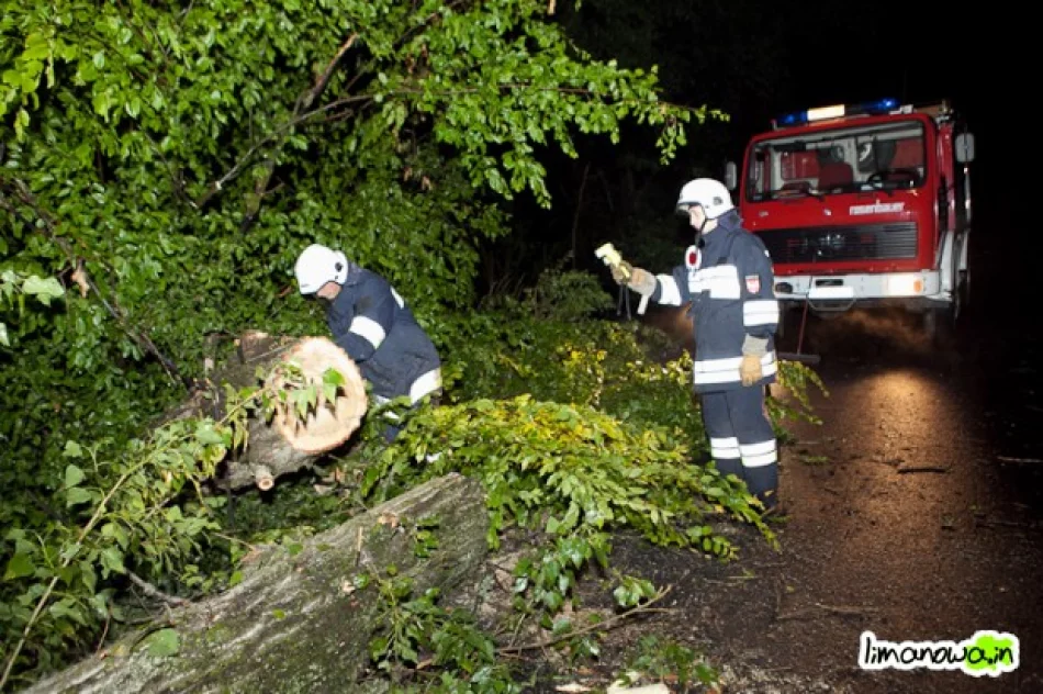 Gwałtowna nawałnica wyrywała drzewa z korzeniami - zdjęcie 3