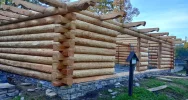 GPN rozebrał zabytkowy obiekt. Mieszkańcy oburzeni "przebudową" - zdjęcie 5