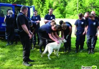 Służby mundurowe na obozie - zdjęcie główne