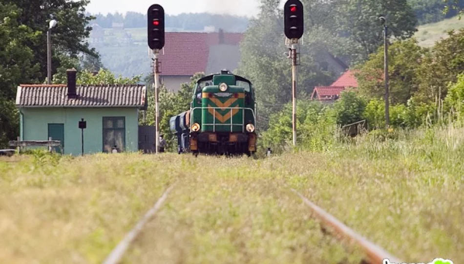 Pociągi wracają na tory przez Limanową - zdjęcie 1