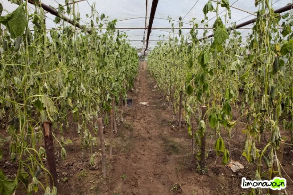 Nasyp był obniżony, teraz ich zalewa - zdjęcie 3