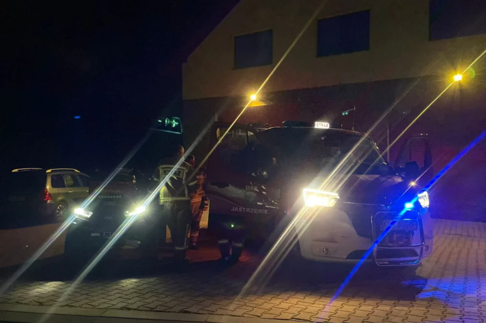 70 osób zaangażowanych w poszukiwania. Szczęśliwy finał: 47-latka odnaleziona - zdjęcie 3