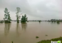 Wyjechali umacniać wały - zdjęcie główne