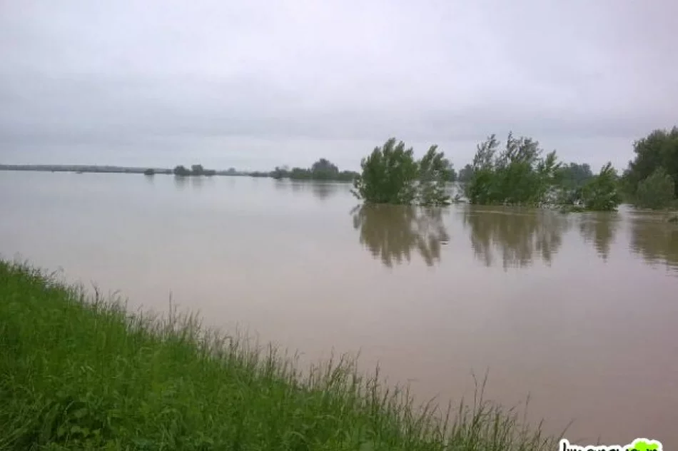 Wyjechali umacniać wały - zdjęcie 4