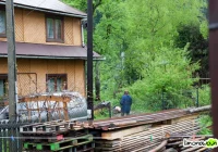 Tragedia w Koninkach – ciało mężczyzny zmasakrowane przez zwierzęta - zdjęcie główne