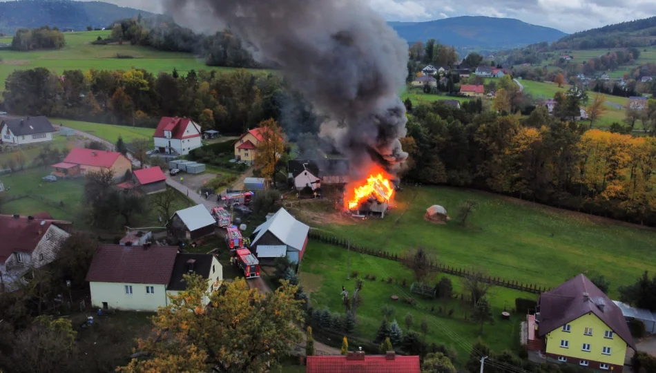 Pożar zabudowań gospodarczych (ZDJĘCIA I WIDEO) - zdjęcie 1