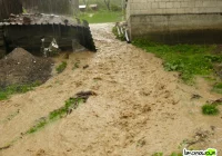 Stracone plony - zdjęcie główne