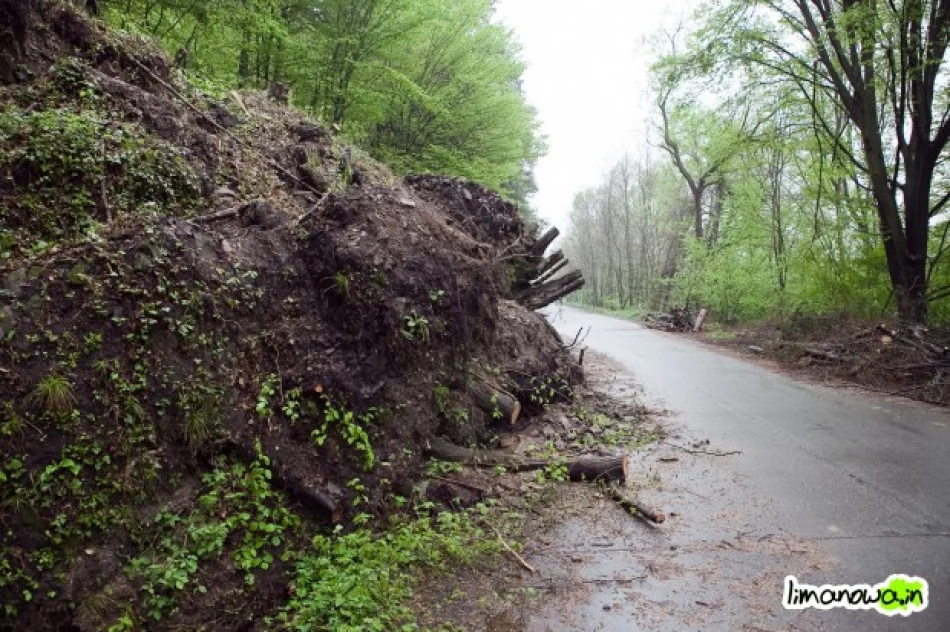 Samowolka na drodze - zdjęcie 2