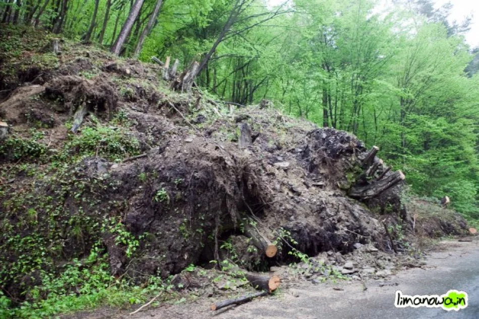 Samowolka na drodze - zdjęcie 3