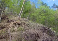 Droga będzie zamknięta do czasu likwidacji osuwiska - zdjęcie główne